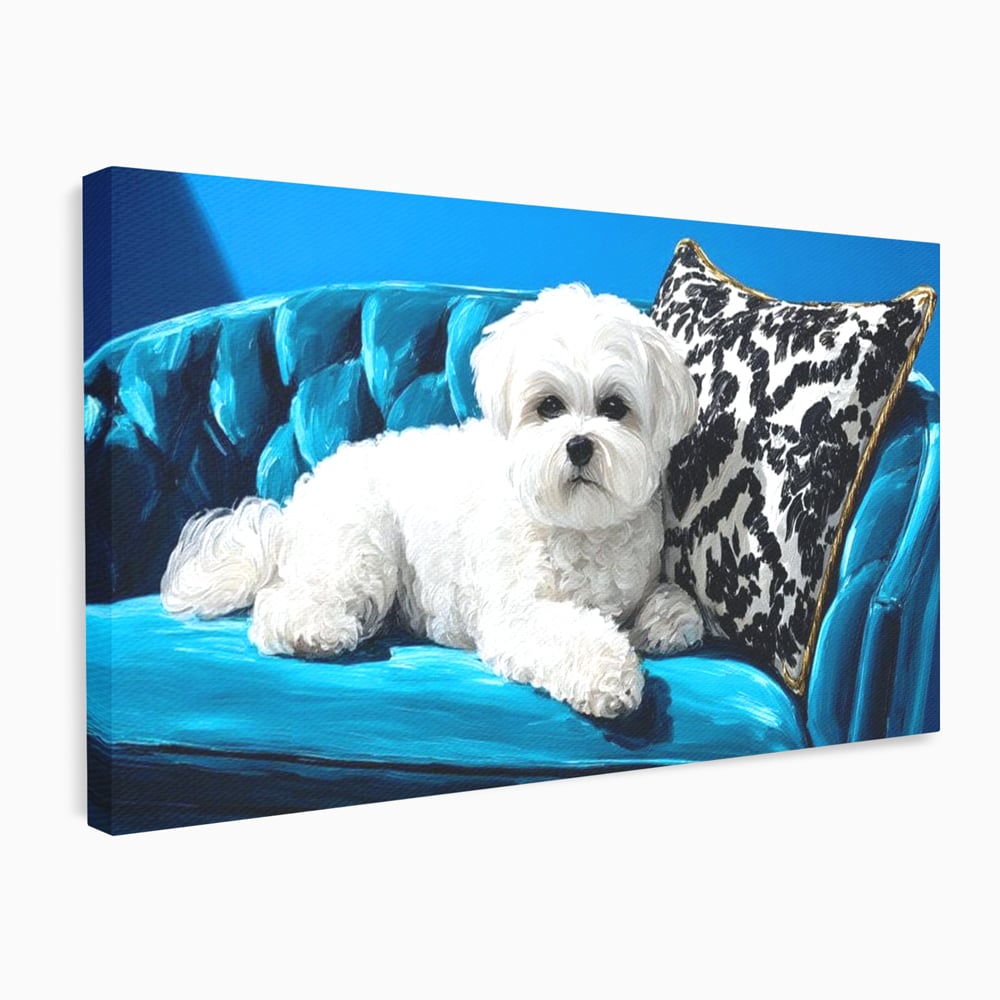 Tablou Canvas Premium, LuxCanva® M1280, Pufosenie Sofisticata, Bichon, Blanos, Canapea, Perna, Eleganta, Rafinament, Pictura, Relaxare, Caine, Confort, Birou, Living, Camera Copil