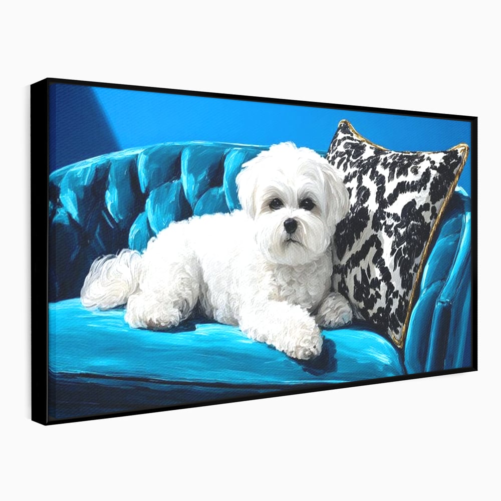Tablou Canvas Premium, LuxCanva® M1280, Pufosenie Sofisticata, Bichon, Blanos, Canapea, Perna, Eleganta, Rafinament, Pictura, Relaxare, Caine, Confort, Birou, Living, Camera Copil