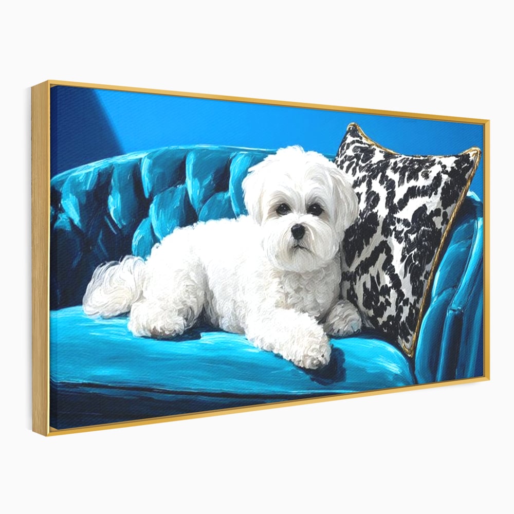 Tablou Canvas Premium, LuxCanva® M1280, Pufosenie Sofisticata, Bichon, Blanos, Canapea, Perna, Eleganta, Rafinament, Pictura, Relaxare, Caine, Confort, Birou, Living, Camera Copil