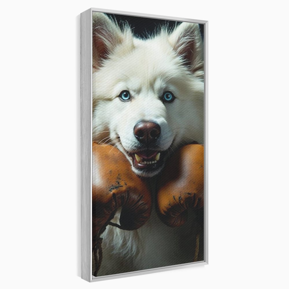 Tablou Canvas Premium, LuxCanva® M1286, Spirit de Luptator, Samoyed, Caine, Husky, Alb, Pufos, Manusi, Box, Sport, Energie, Campion, Adorabil, Curaj, Atitudine, Birou, Living, Camera Copil
