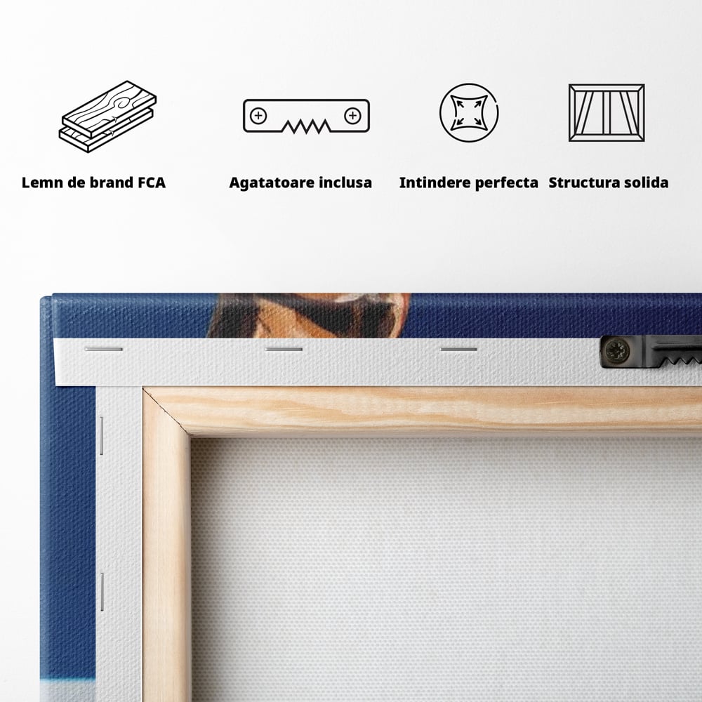 Tablou Canvas Premium, LuxCanva® M1289, Lady Blue, Colier, Bijuterie, Safir, Diamante, Caine, Portret, Feminin, Regal, Pictura, Relaxare, Stralucire, Birou, Living, Camera Copil