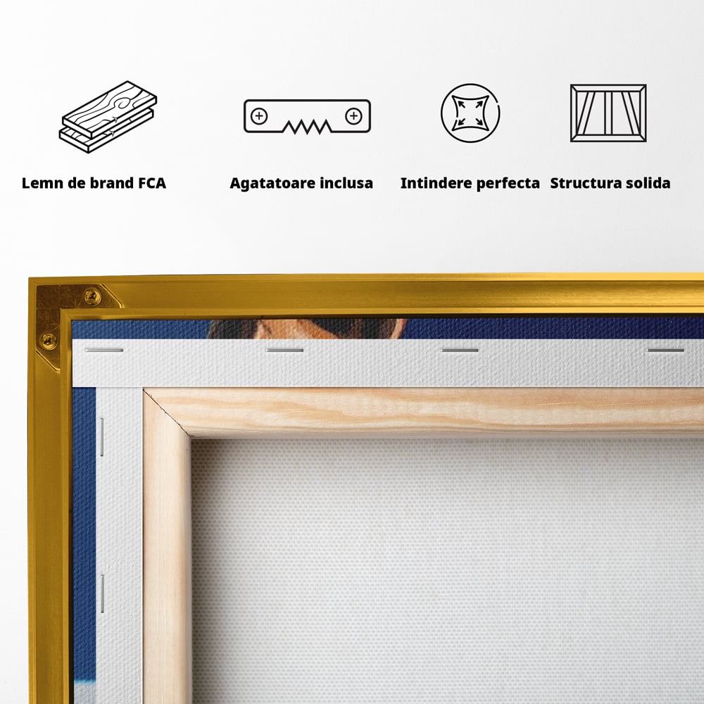 Tablou Canvas Premium, LuxCanva® M1289, Lady Blue, Colier, Bijuterie, Safir, Diamante, Caine, Portret, Feminin, Regal, Pictura, Relaxare, Stralucire, Birou, Living, Camera Copil