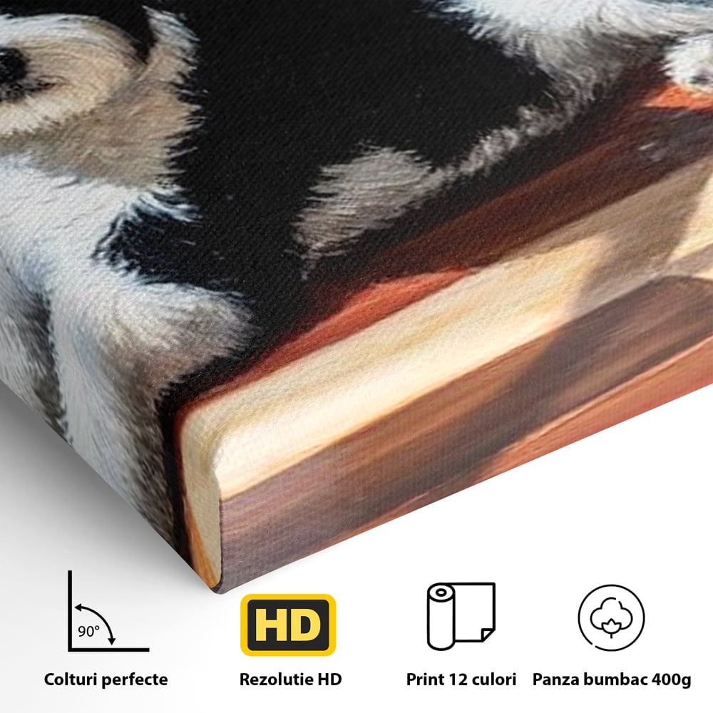 Leinwandbilder Premium, LuxCanva® M1292, Sonnenschein, Parkett, Holz, Licht, Sonne, Hund, häuslich, Schatten, Fenster, rustikal, innen, Büro, Wohnen, Wohnzimmer, Kinderzimmer