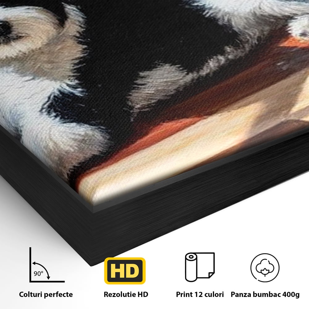 Leinwandbilder Premium, LuxCanva® M1292, Sonnenschein, Parkett, Holz, Licht, Sonne, Hund, häuslich, Schatten, Fenster, rustikal, innen, Büro, Wohnen, Wohnzimmer, Kinderzimmer