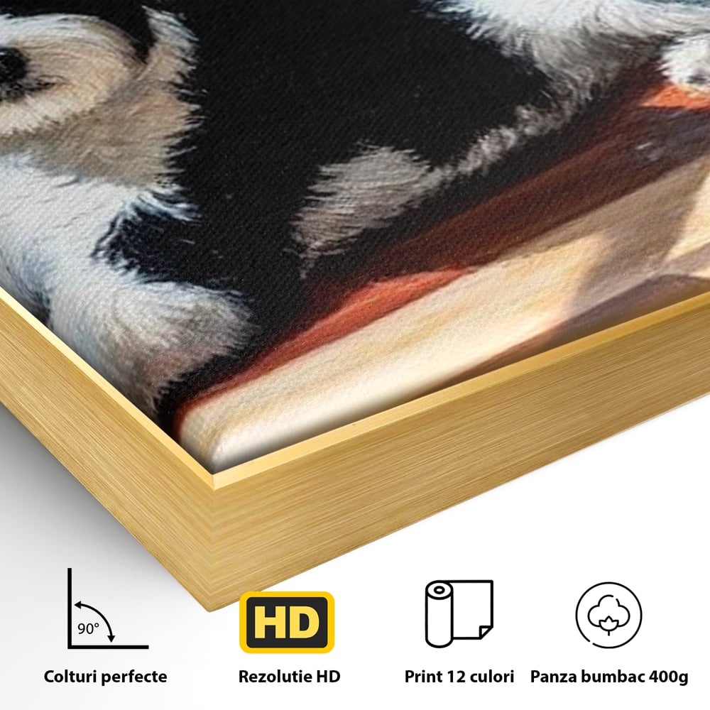 Leinwandbilder Premium, LuxCanva® M1292, Sonnenschein, Parkett, Holz, Licht, Sonne, Hund, häuslich, Schatten, Fenster, rustikal, innen, Büro, Wohnen, Wohnzimmer, Kinderzimmer