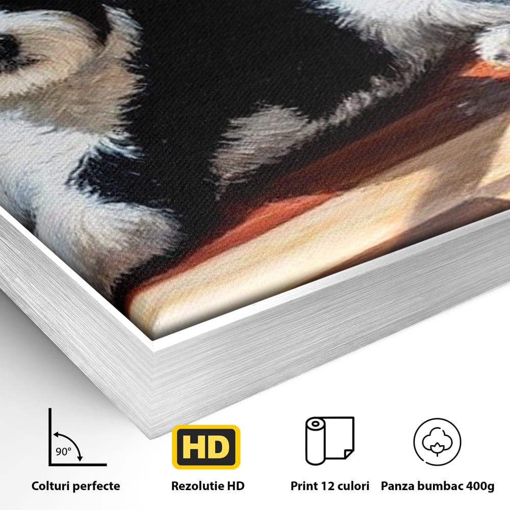 Leinwandbilder Premium, LuxCanva® M1292, Sonnenschein, Parkett, Holz, Licht, Sonne, Hund, häuslich, Schatten, Fenster, rustikal, innen, Büro, Wohnen, Wohnzimmer, Kinderzimmer