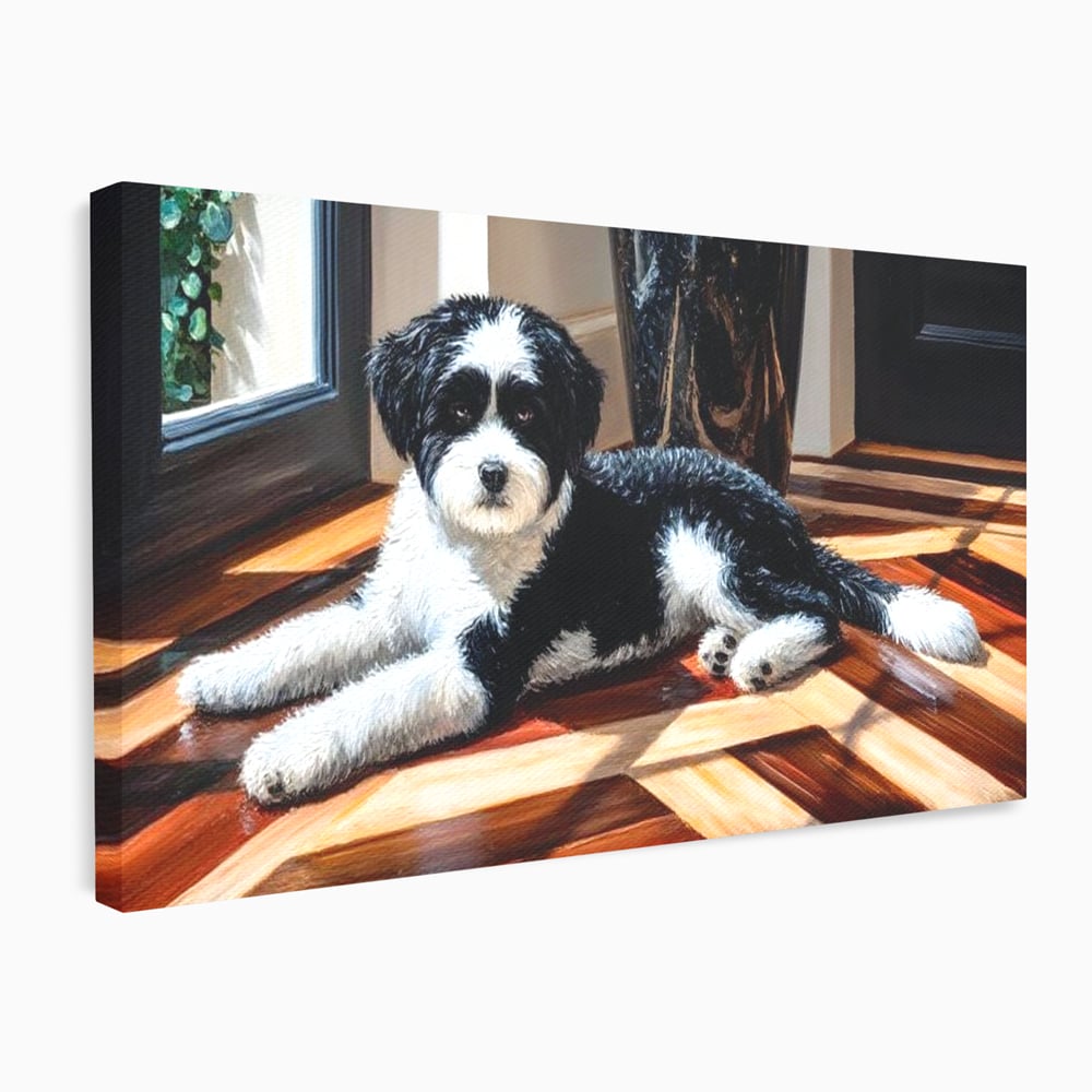 Leinwandbilder Premium, LuxCanva® M1292, Sonnenschein, Parkett, Holz, Licht, Sonne, Hund, häuslich, Schatten, Fenster, rustikal, innen, Büro, Wohnen, Wohnzimmer, Kinderzimmer