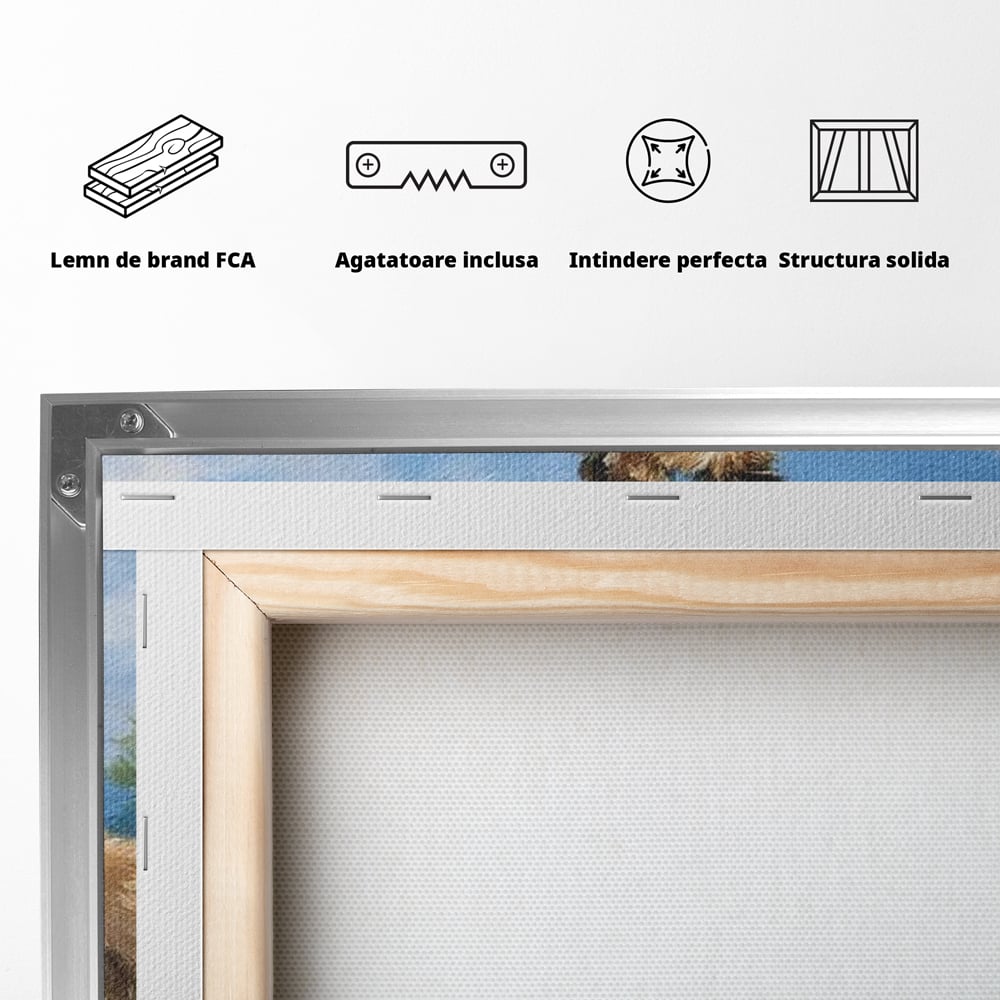 Leinwandbilder Premium, LuxCanva® M1297, Immer zusammen, Paar, Natur, Landschaft, Hügel, Hunde, Vegetation, Landschaft, Ruhe, Entspannung, Entspannung, Frieden, Büro, Wohnen, Wohnzimmer, Kinderzimmer