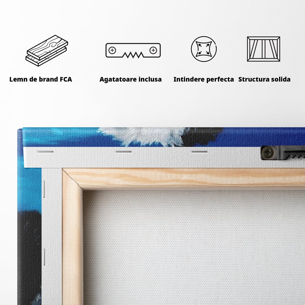 Tablou Canvas Premium, LuxCanva® M1300, Norisor Langa Apa, Bichon, Catel, Vara, Piscina, Soare, Azur, Pufos, Apa, Caldura, Adorabil, Vacanta, Birou, Living, Camera Copil