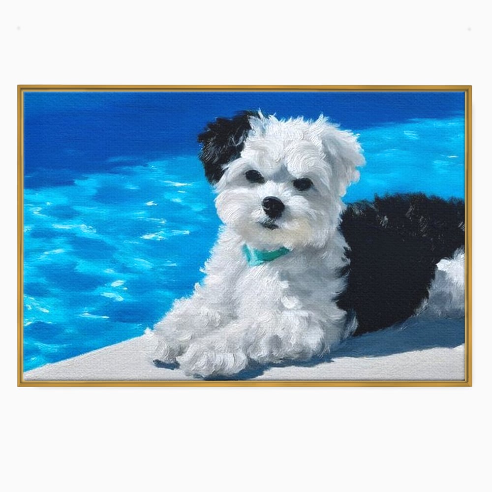 Tablou Canvas Premium, LuxCanva® M1300, Norisor Langa Apa, Bichon, Catel, Vara, Piscina, Soare, Azur, Pufos, Apa, Caldura, Adorabil, Vacanta, Birou, Living, Camera Copil