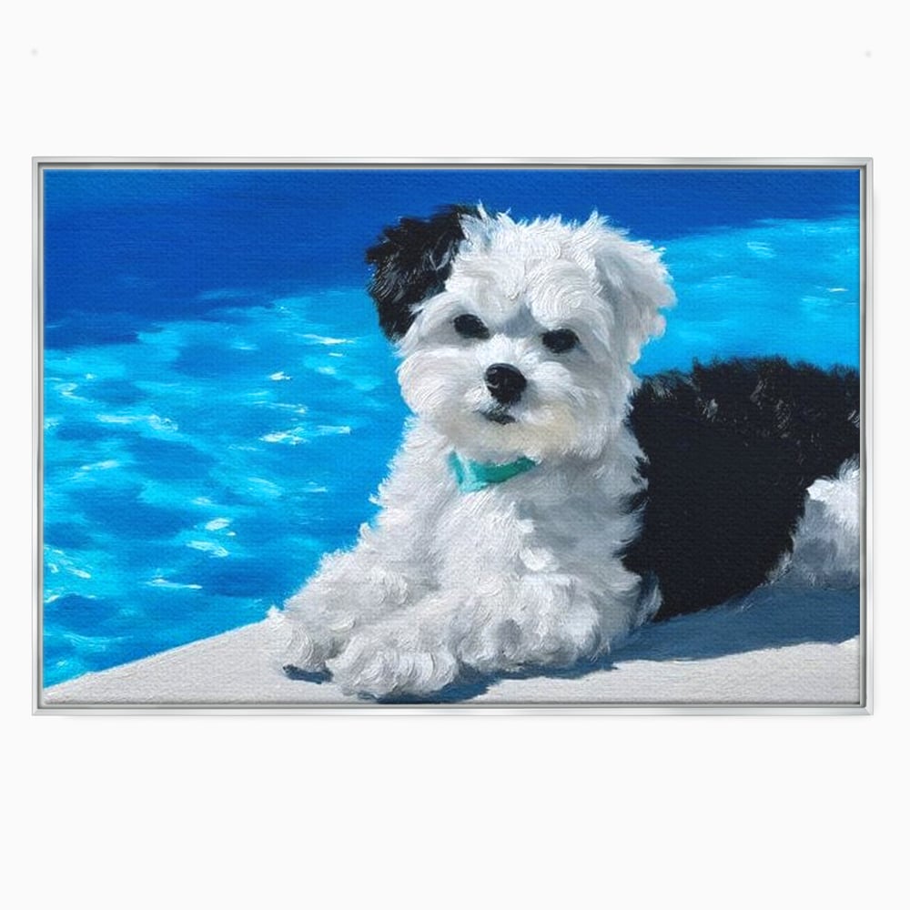 Tablou Canvas Premium, LuxCanva® M1300, Norisor Langa Apa, Bichon, Catel, Vara, Piscina, Soare, Azur, Pufos, Apa, Caldura, Adorabil, Vacanta, Birou, Living, Camera Copil