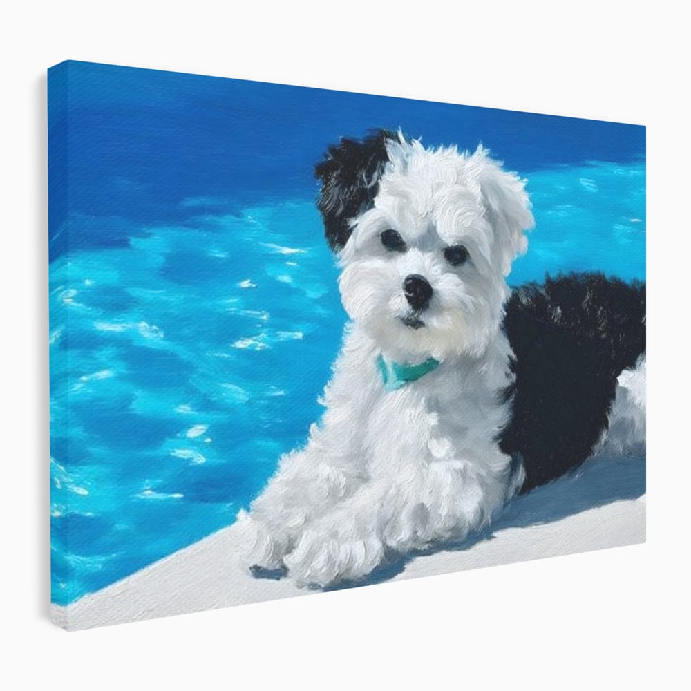 Tablou Canvas Premium, LuxCanva® M1300, Norisor Langa Apa, Bichon, Catel, Vara, Piscina, Soare, Azur, Pufos, Apa, Caldura, Adorabil, Vacanta, Birou, Living, Camera Copil