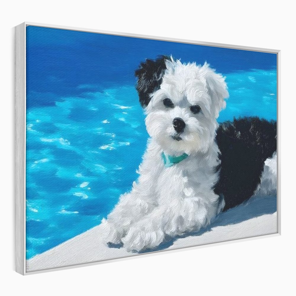 Tablou Canvas Premium, LuxCanva® M1300, Norisor Langa Apa, Bichon, Catel, Vara, Piscina, Soare, Azur, Pufos, Apa, Caldura, Adorabil, Vacanta, Birou, Living, Camera Copil