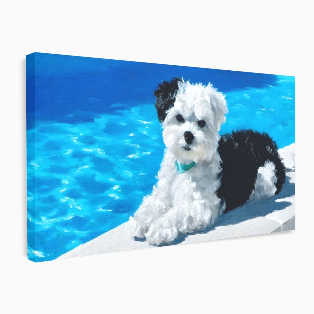 Tablou Canvas Premium, LuxCanva® M1300, Norisor Langa Apa, Bichon, Catel, Vara, Piscina, Soare, Azur, Pufos, Apa, Caldura, Adorabil, Vacanta, Birou, Living, Camera Copil