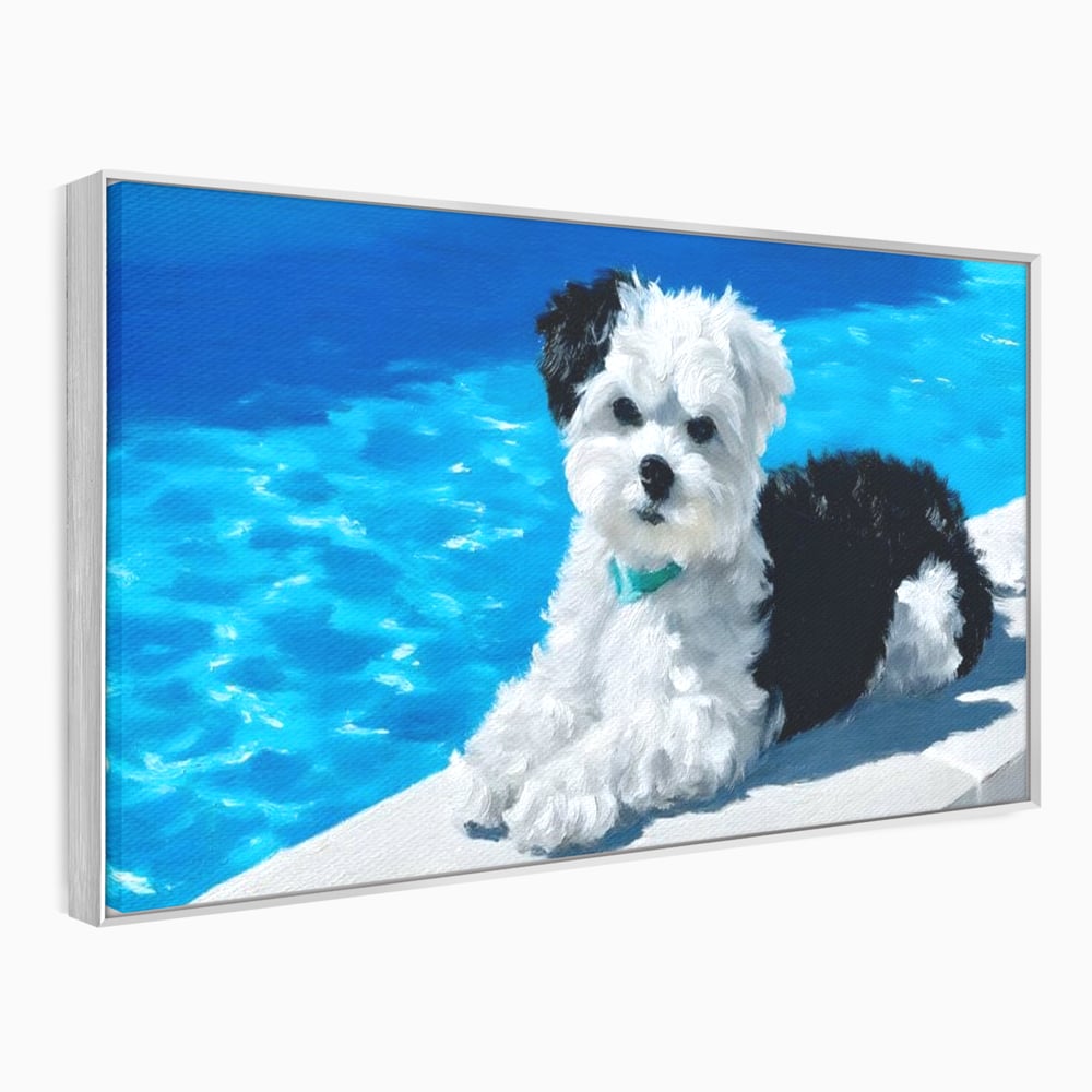 Tablou Canvas Premium, LuxCanva® M1300, Norisor Langa Apa, Bichon, Catel, Vara, Piscina, Soare, Azur, Pufos, Apa, Caldura, Adorabil, Vacanta, Birou, Living, Camera Copil