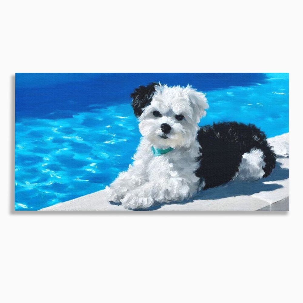 Tablou Canvas Premium, LuxCanva® M1300, Norisor Langa Apa, Bichon, Catel, Vara, Piscina, Soare, Azur, Pufos, Apa, Caldura, Adorabil, Vacanta, Birou, Living, Camera Copil