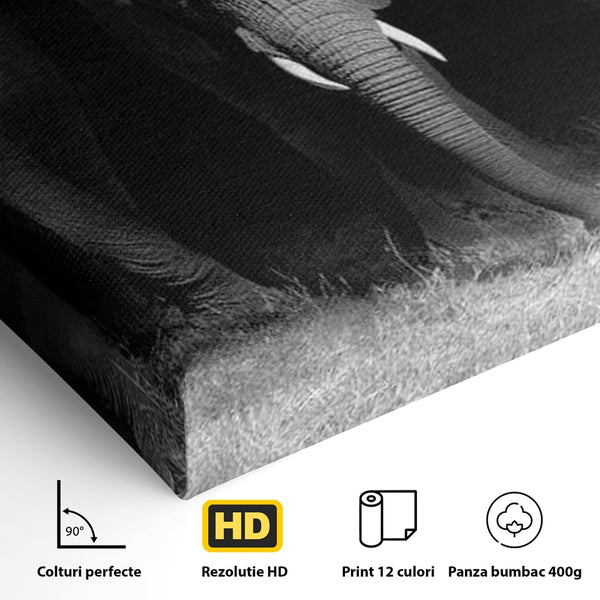 Tablou Canvas Premium, LuxCanva® M1302, Umbrele Savanei, Animale, Salbaticie, Safari, Elefanti, Familie, Alb si Negru, Grup, Dinamism, Intuneric, Birou, Living, Camera Copil