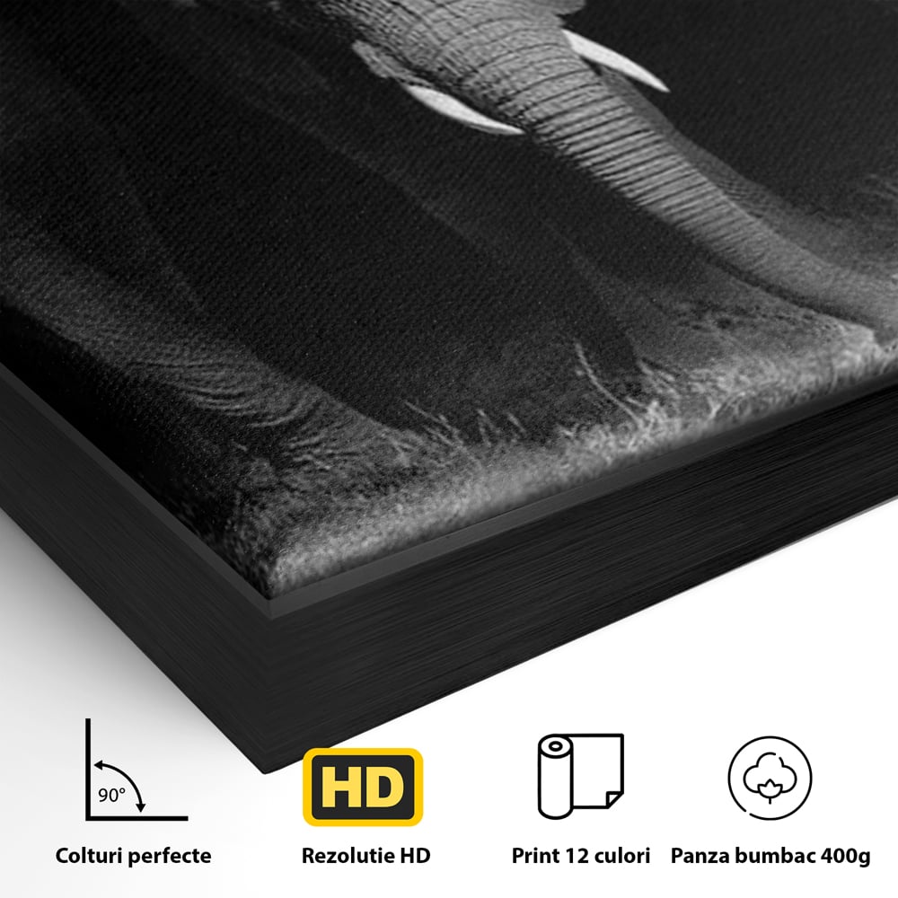 Tablou Canvas Premium, LuxCanva® M1302, Umbrele Savanei, Animale, Salbaticie, Safari, Elefanti, Familie, Alb si Negru, Grup, Dinamism, Intuneric, Birou, Living, Camera Copil