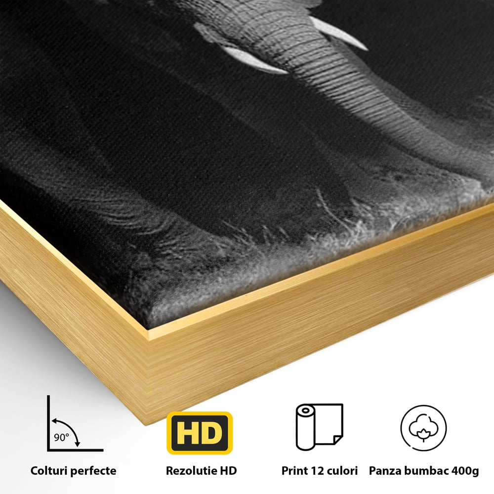 Tablou Canvas Premium, LuxCanva® M1302, Umbrele Savanei, Animale, Salbaticie, Safari, Elefanti, Familie, Alb si Negru, Grup, Dinamism, Intuneric, Birou, Living, Camera Copil