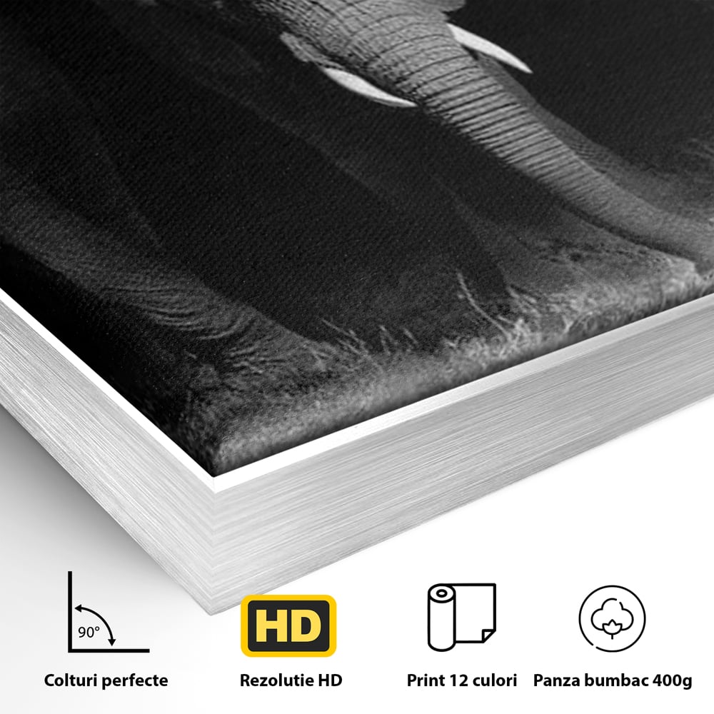 Tablou Canvas Premium, LuxCanva® M1302, Umbrele Savanei, Animale, Salbaticie, Safari, Elefanti, Familie, Alb si Negru, Grup, Dinamism, Intuneric, Birou, Living, Camera Copil