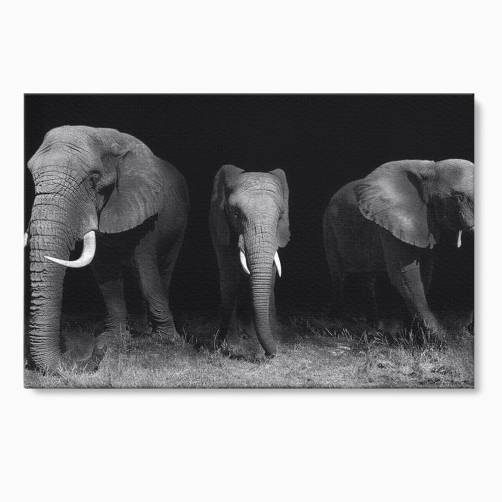 Tablou Canvas Premium, LuxCanva® M1302, Umbrele Savanei, Animale, Salbaticie, Safari, Elefanti, Familie, Alb si Negru, Grup, Dinamism, Intuneric, Birou, Living, Camera Copil