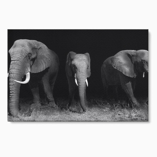 Tablou Canvas Premium, LuxCanva® M1302, Umbrele Savanei, Animale, Salbaticie, Safari, Elefanti, Familie, Alb si Negru, Grup, Dinamism, Intuneric, Birou, Living, Camera Copil
