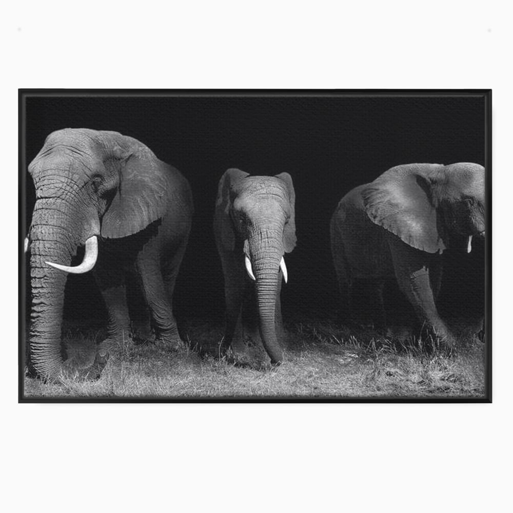 Tablou Canvas Premium, LuxCanva® M1302, Umbrele Savanei, Animale, Salbaticie, Safari, Elefanti, Familie, Alb si Negru, Grup, Dinamism, Intuneric, Birou, Living, Camera Copil
