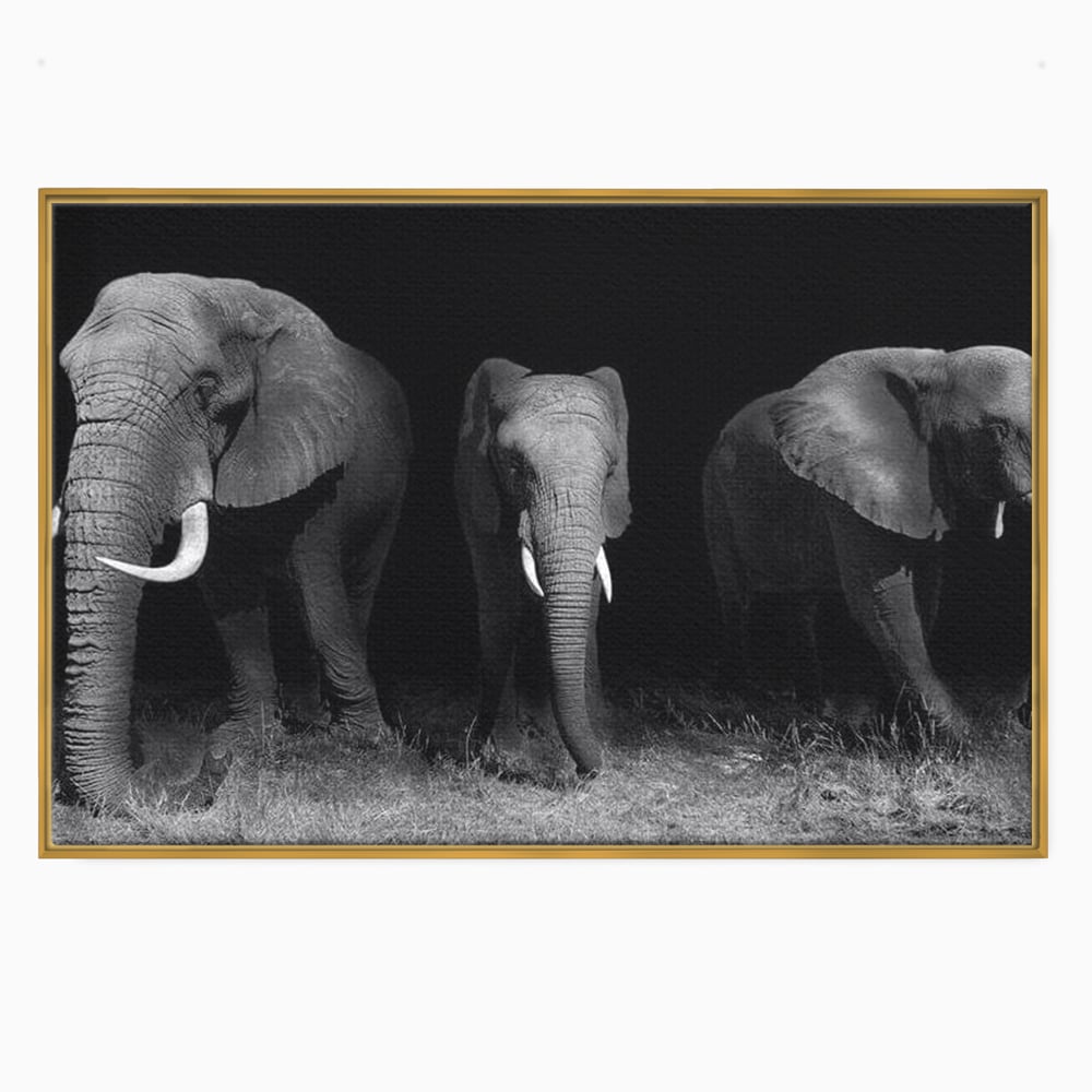Tablou Canvas Premium, LuxCanva® M1302, Umbrele Savanei, Animale, Salbaticie, Safari, Elefanti, Familie, Alb si Negru, Grup, Dinamism, Intuneric, Birou, Living, Camera Copil