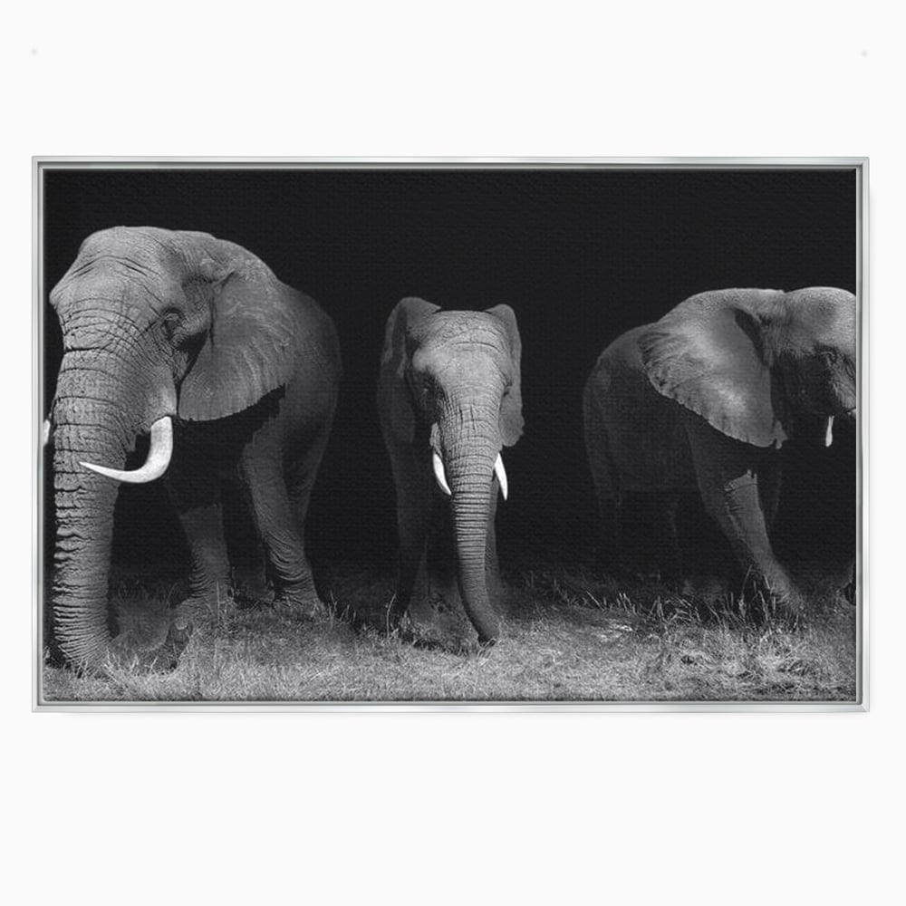 Tablou Canvas Premium, LuxCanva® M1302, Umbrele Savanei, Animale, Salbaticie, Safari, Elefanti, Familie, Alb si Negru, Grup, Dinamism, Intuneric, Birou, Living, Camera Copil