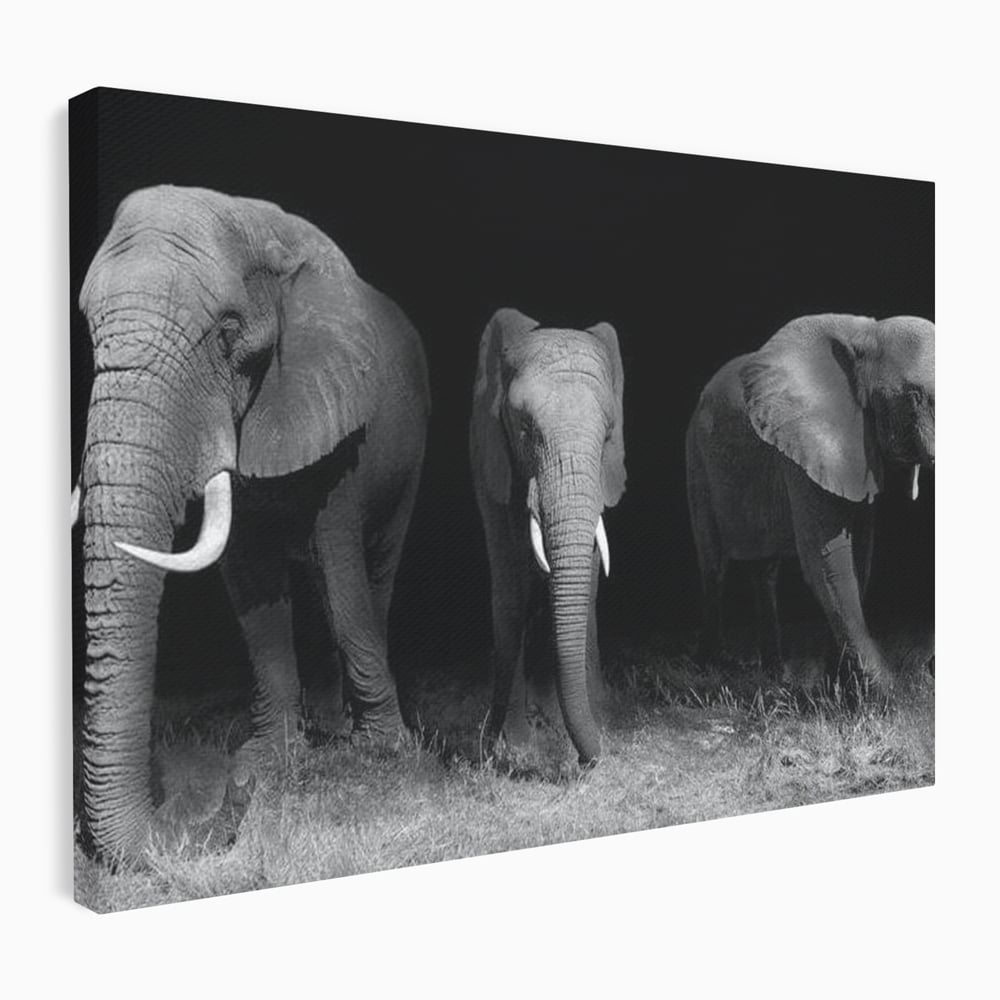 Tablou Canvas Premium, LuxCanva® M1302, Umbrele Savanei, Animale, Salbaticie, Safari, Elefanti, Familie, Alb si Negru, Grup, Dinamism, Intuneric, Birou, Living, Camera Copil