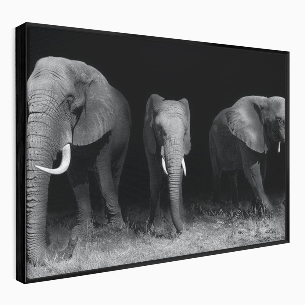Tablou Canvas Premium, LuxCanva® M1302, Umbrele Savanei, Animale, Salbaticie, Safari, Elefanti, Familie, Alb si Negru, Grup, Dinamism, Intuneric, Birou, Living, Camera Copil