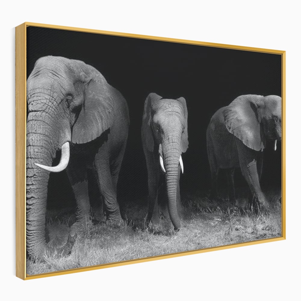 Tablou Canvas Premium, LuxCanva® M1302, Umbrele Savanei, Animale, Salbaticie, Safari, Elefanti, Familie, Alb si Negru, Grup, Dinamism, Intuneric, Birou, Living, Camera Copil