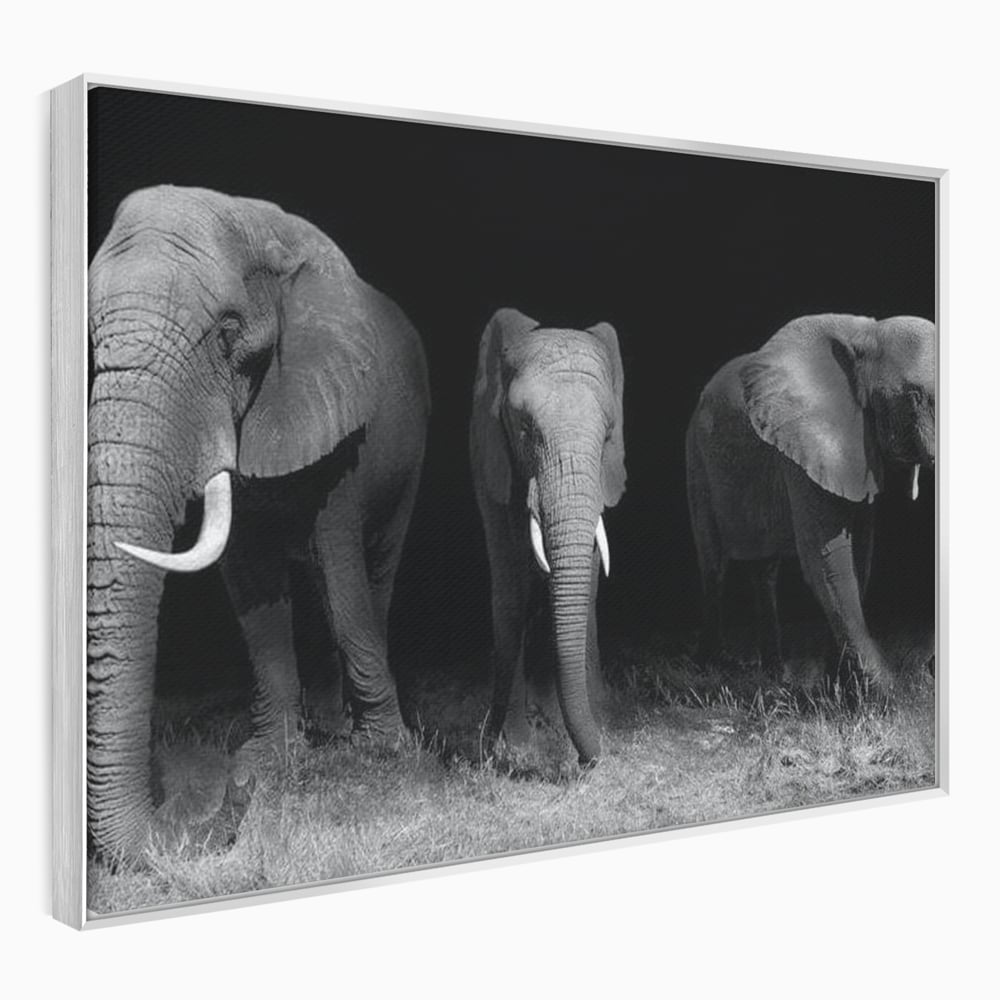 Tablou Canvas Premium, LuxCanva® M1302, Umbrele Savanei, Animale, Salbaticie, Safari, Elefanti, Familie, Alb si Negru, Grup, Dinamism, Intuneric, Birou, Living, Camera Copil
