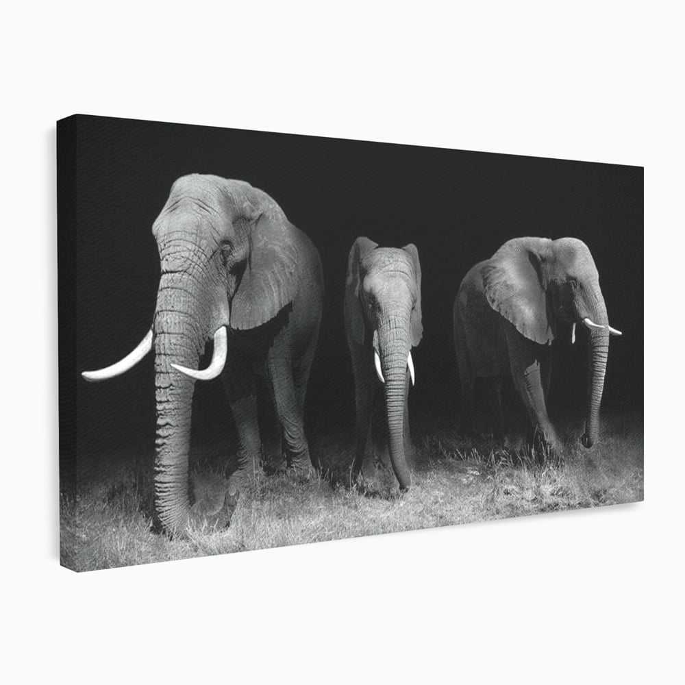 Tablou Canvas Premium, LuxCanva® M1302, Umbrele Savanei, Animale, Salbaticie, Safari, Elefanti, Familie, Alb si Negru, Grup, Dinamism, Intuneric, Birou, Living, Camera Copil