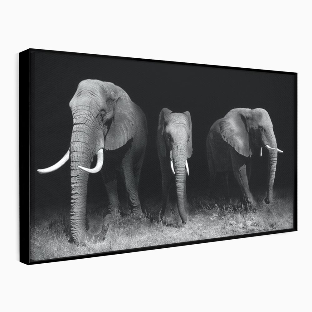 Tablou Canvas Premium, LuxCanva® M1302, Umbrele Savanei, Animale, Salbaticie, Safari, Elefanti, Familie, Alb si Negru, Grup, Dinamism, Intuneric, Birou, Living, Camera Copil