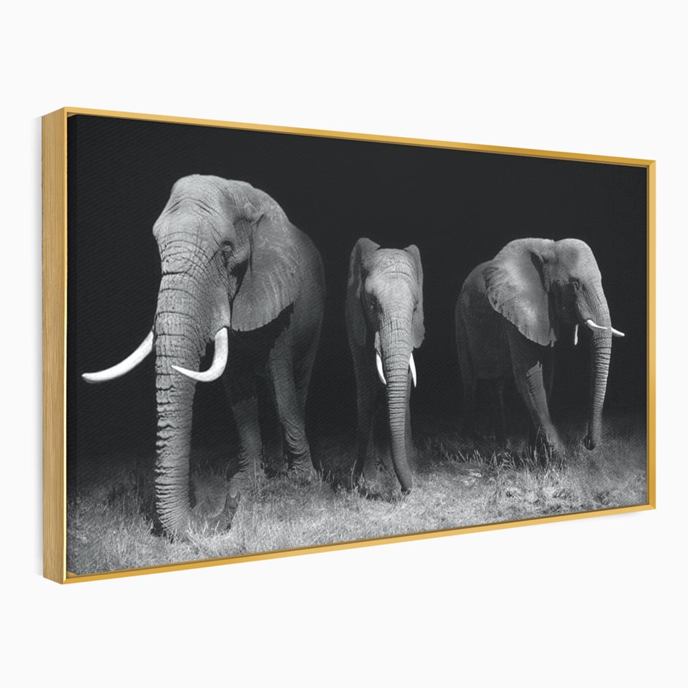 Tablou Canvas Premium, LuxCanva® M1302, Umbrele Savanei, Animale, Salbaticie, Safari, Elefanti, Familie, Alb si Negru, Grup, Dinamism, Intuneric, Birou, Living, Camera Copil