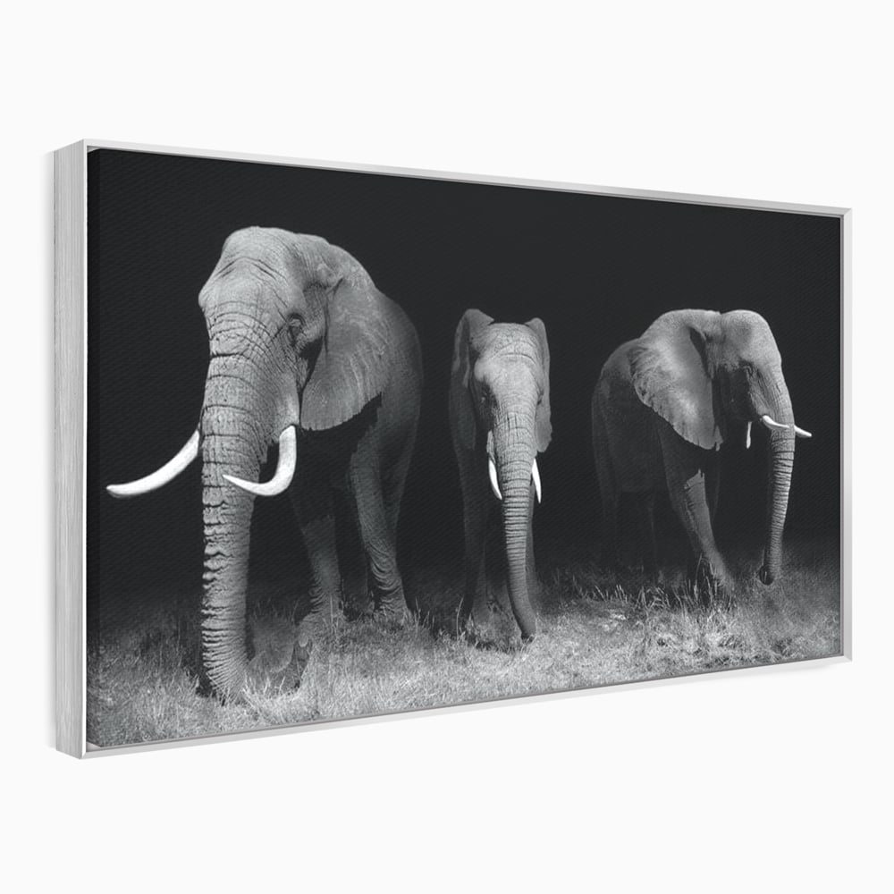Tablou Canvas Premium, LuxCanva® M1302, Umbrele Savanei, Animale, Salbaticie, Safari, Elefanti, Familie, Alb si Negru, Grup, Dinamism, Intuneric, Birou, Living, Camera Copil