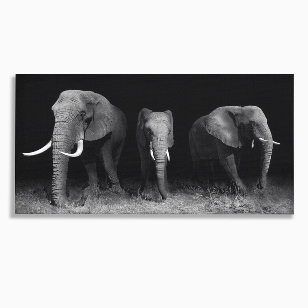 Tablou Canvas Premium, LuxCanva® M1302, Umbrele Savanei, Animale, Salbaticie, Safari, Elefanti, Familie, Alb si Negru, Grup, Dinamism, Intuneric, Birou, Living, Camera Copil