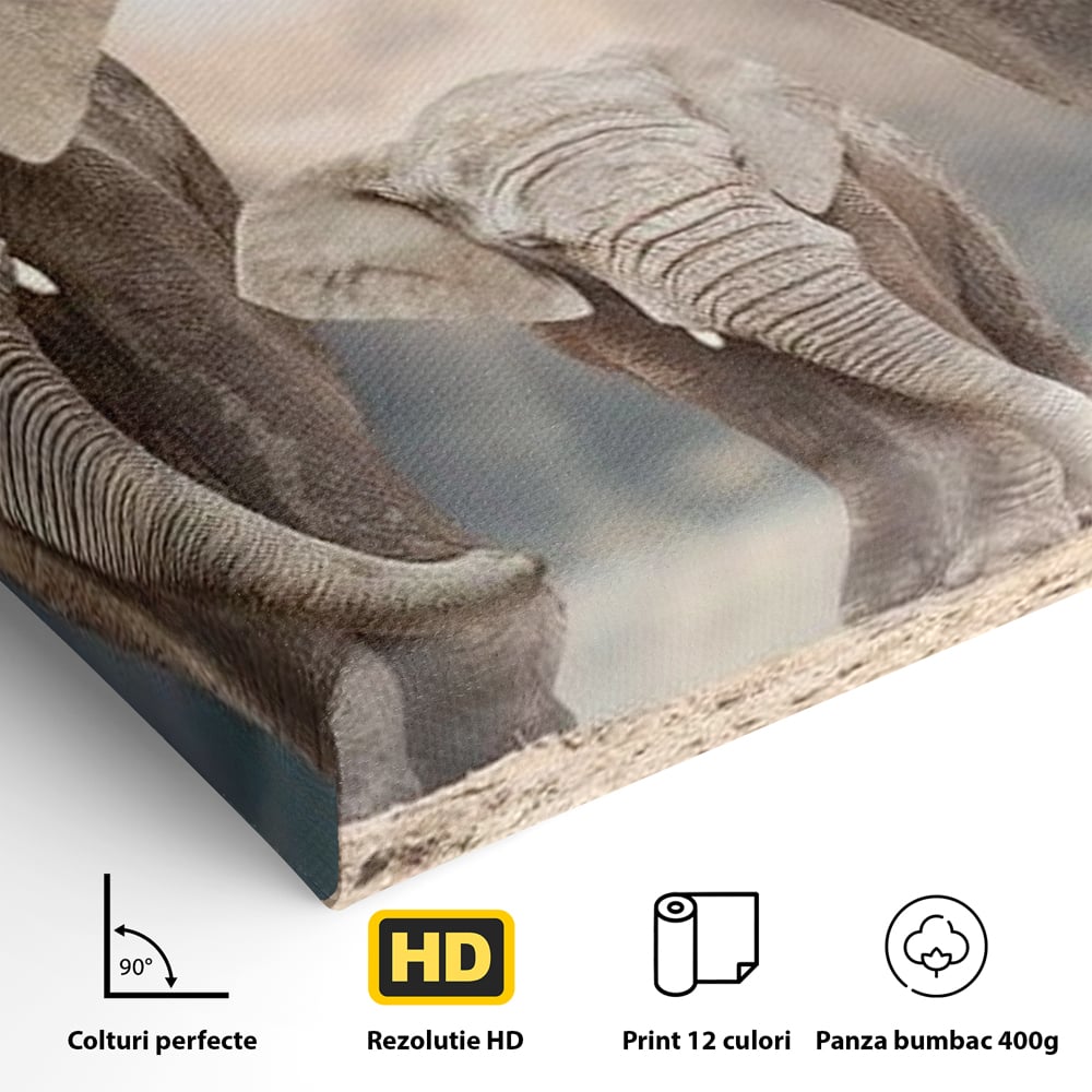 Leinwand Wandkunst Canvas Wandkunst Premium, LuxCanva® M1306, Weiß F Stoßzähne, Gruppe, Licht, Elefanten, Natur, Sonnenaufgang, Erde, Straße, Bewegung, Familie, Huhn, Büro, Wohnen, Wohnzimmer, Kinderzimmer