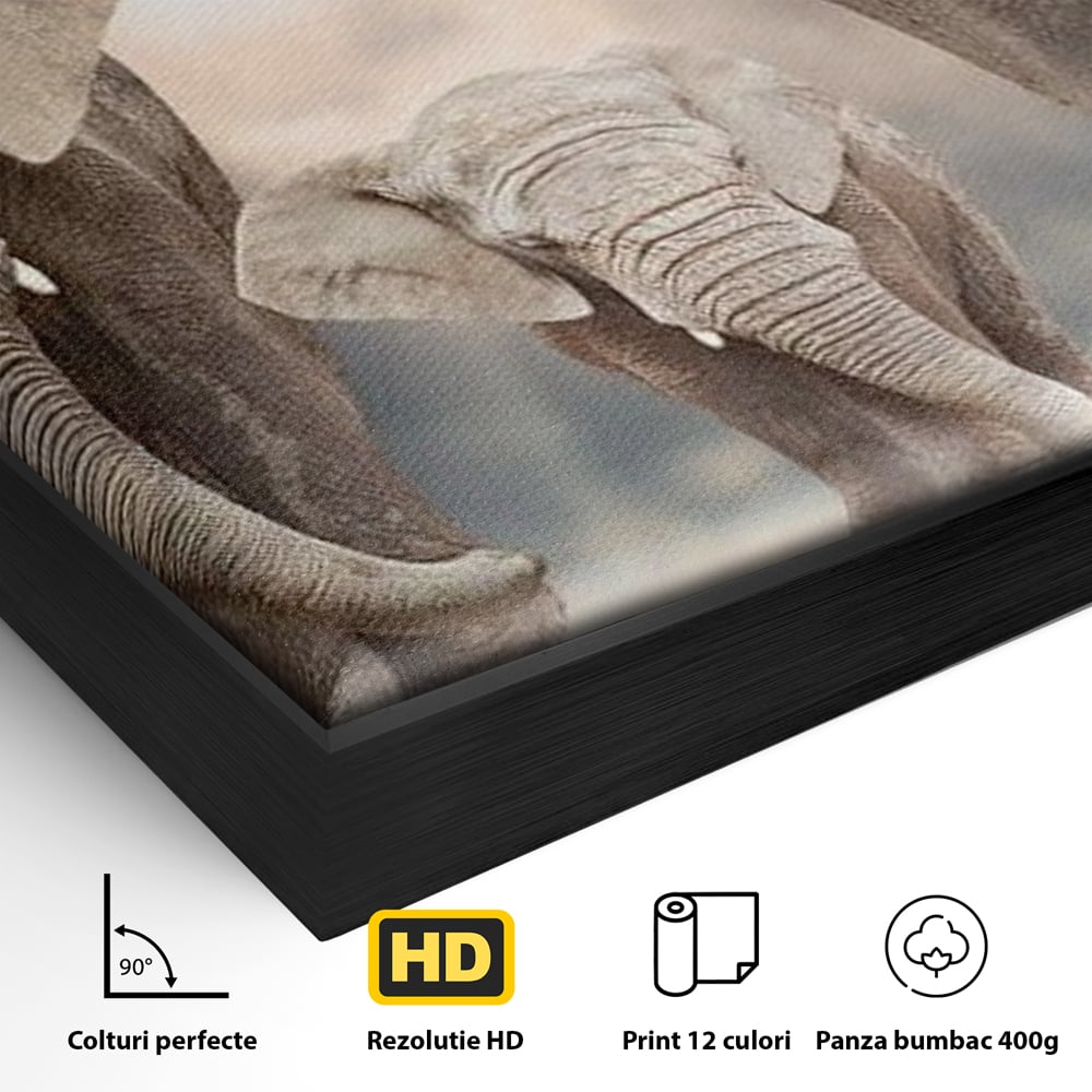 Leinwand Wandkunst Canvas Wandkunst Premium, LuxCanva® M1306, Weiß F Stoßzähne, Gruppe, Licht, Elefanten, Natur, Sonnenaufgang, Erde, Straße, Bewegung, Familie, Huhn, Büro, Wohnen, Wohnzimmer, Kinderzimmer