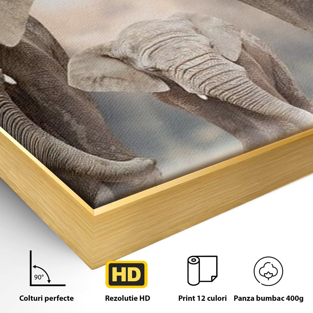 Leinwand Wandkunst Canvas Wandkunst Premium, LuxCanva® M1306, Weiß F Stoßzähne, Gruppe, Licht, Elefanten, Natur, Sonnenaufgang, Erde, Straße, Bewegung, Familie, Huhn, Büro, Wohnen, Wohnzimmer, Kinderzimmer
