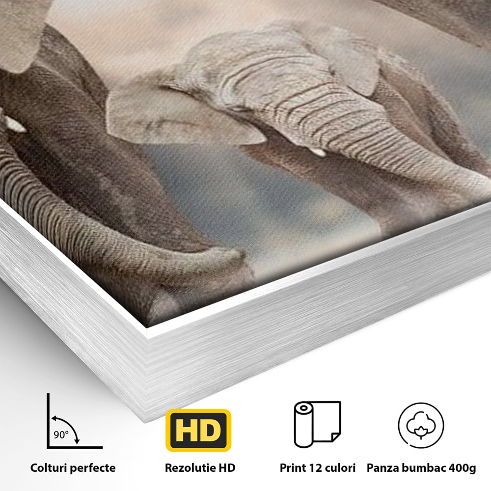 Leinwand Wandkunst Canvas Wandkunst Premium, LuxCanva® M1306, Weiß F Stoßzähne, Gruppe, Licht, Elefanten, Natur, Sonnenaufgang, Erde, Straße, Bewegung, Familie, Huhn, Büro, Wohnen, Wohnzimmer, Kinderzimmer