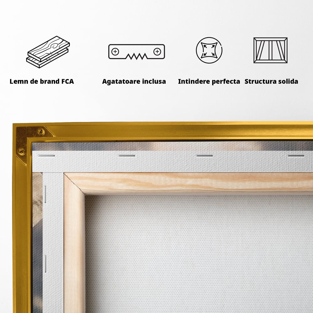 Leinwand Wandkunst Canvas Wandkunst Premium, LuxCanva® M1306, Weiß F Stoßzähne, Gruppe, Licht, Elefanten, Natur, Sonnenaufgang, Erde, Straße, Bewegung, Familie, Huhn, Büro, Wohnen, Wohnzimmer, Kinderzimmer