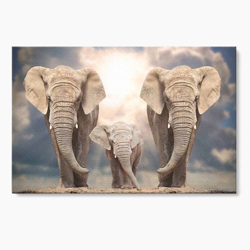 Leinwand Wandkunst Canvas Wandkunst Premium, LuxCanva® M1306, Weiß F Stoßzähne, Gruppe, Licht, Elefanten, Natur, Sonnenaufgang, Erde, Straße, Bewegung, Familie, Huhn, Büro, Wohnen, Wohnzimmer, Kinderzimmer