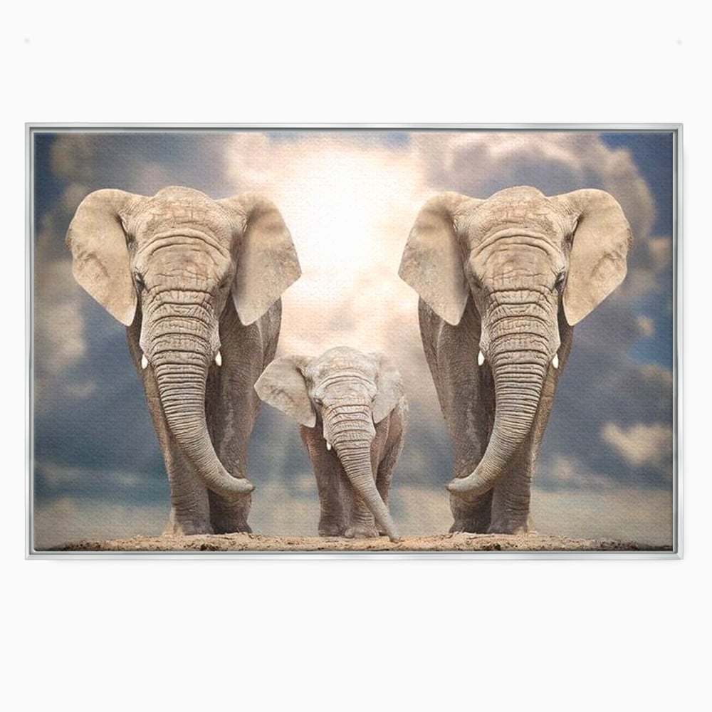 Leinwand Wandkunst Canvas Wandkunst Premium, LuxCanva® M1306, Weiß F Stoßzähne, Gruppe, Licht, Elefanten, Natur, Sonnenaufgang, Erde, Straße, Bewegung, Familie, Huhn, Büro, Wohnen, Wohnzimmer, Kinderzimmer