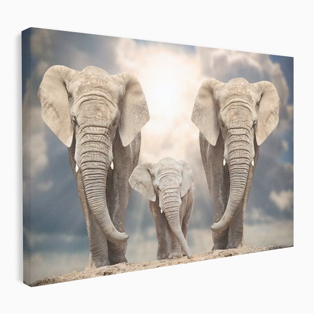 Leinwand Wandkunst Canvas Wandkunst Premium, LuxCanva® M1306, Weiß F Stoßzähne, Gruppe, Licht, Elefanten, Natur, Sonnenaufgang, Erde, Straße, Bewegung, Familie, Huhn, Büro, Wohnen, Wohnzimmer, Kinderzimmer