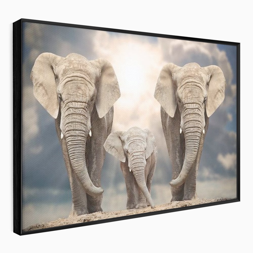 Leinwand Wandkunst Canvas Wandkunst Premium, LuxCanva® M1306, Weiß F Stoßzähne, Gruppe, Licht, Elefanten, Natur, Sonnenaufgang, Erde, Straße, Bewegung, Familie, Huhn, Büro, Wohnen, Wohnzimmer, Kinderzimmer