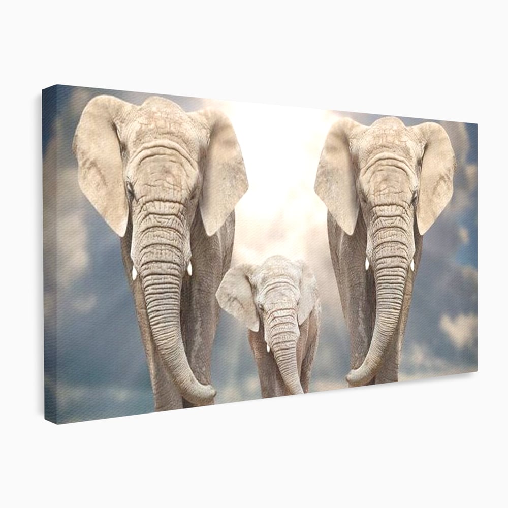 Leinwand Wandkunst Canvas Wandkunst Premium, LuxCanva® M1306, Weiß F Stoßzähne, Gruppe, Licht, Elefanten, Natur, Sonnenaufgang, Erde, Straße, Bewegung, Familie, Huhn, Büro, Wohnen, Wohnzimmer, Kinderzimmer