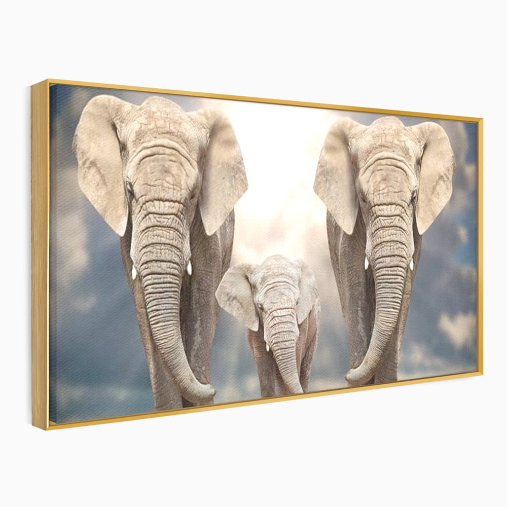 Leinwand Wandkunst Canvas Wandkunst Premium, LuxCanva® M1306, Weiß F Stoßzähne, Gruppe, Licht, Elefanten, Natur, Sonnenaufgang, Erde, Straße, Bewegung, Familie, Huhn, Büro, Wohnen, Wohnzimmer, Kinderzimmer
