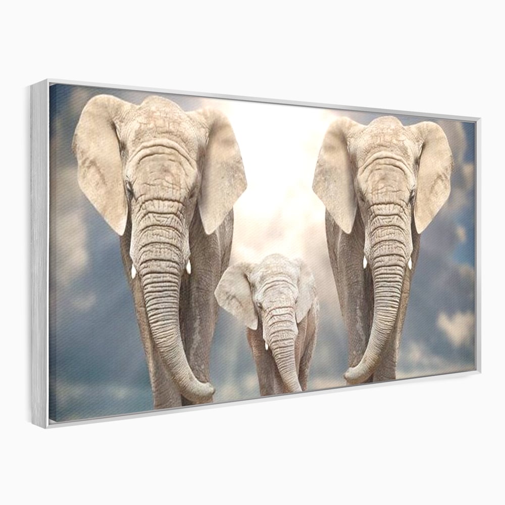 Leinwand Wandkunst Canvas Wandkunst Premium, LuxCanva® M1306, Weiß F Stoßzähne, Gruppe, Licht, Elefanten, Natur, Sonnenaufgang, Erde, Straße, Bewegung, Familie, Huhn, Büro, Wohnen, Wohnzimmer, Kinderzimmer